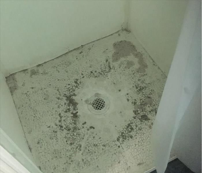 shower base with sewage
