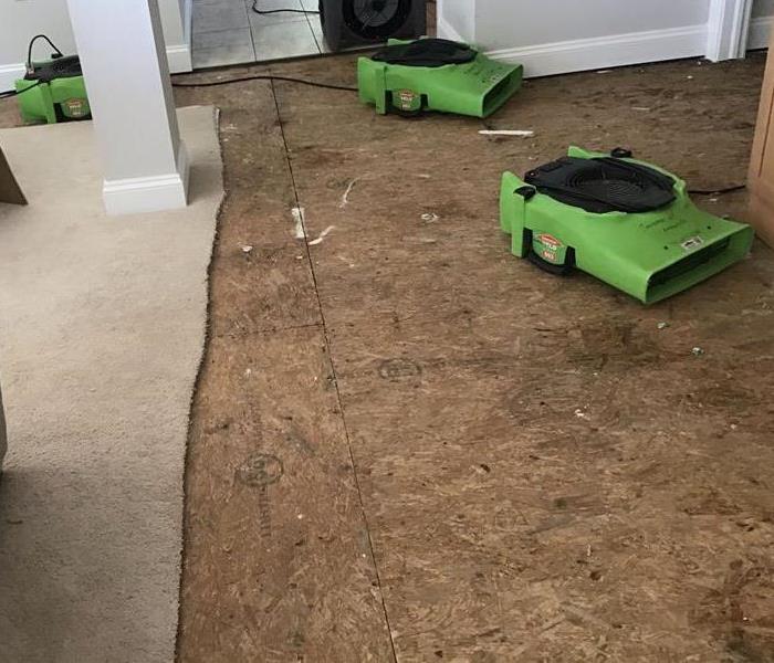 carpet removed and air movers drying living room
