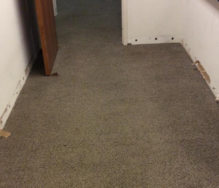 commercial office with dry carpet