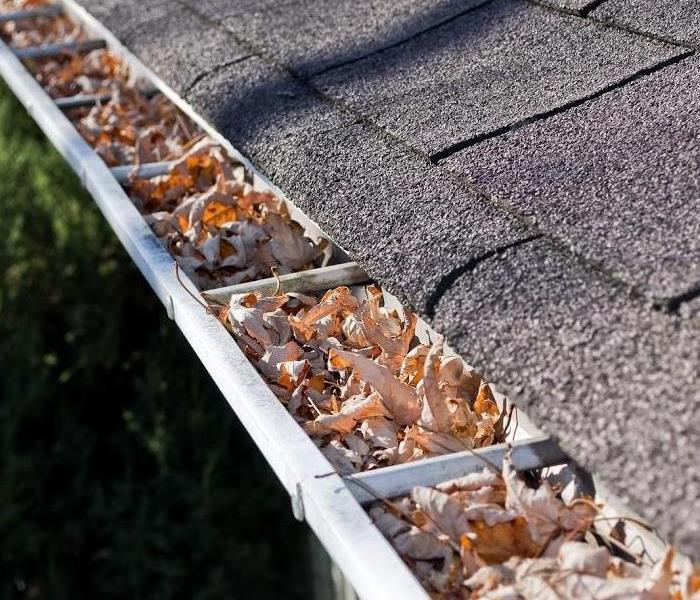Gutter cluttered with leaves